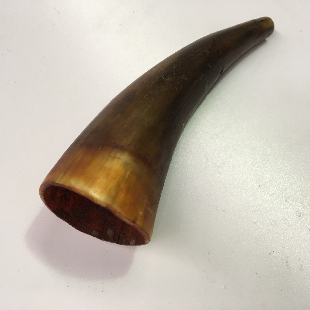 HORN, Polished